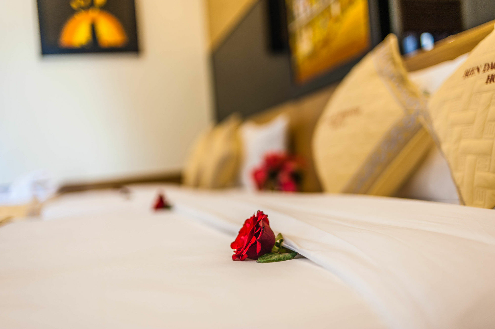 Bien Dao Homestay ฮอยอัน ภายนอก รูปภาพ